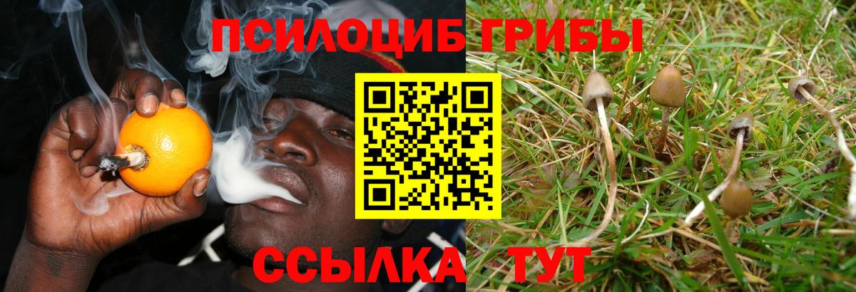 Галлюциногенные грибы прущие грибы  Вход с VPN  Свободный  купить наркотики сайты  Галлюциногенные грибы ЛСД 